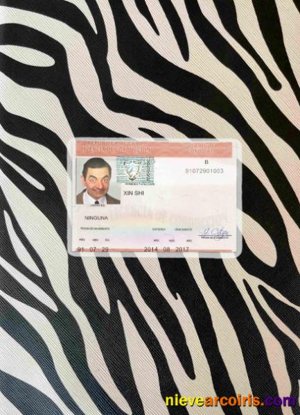 Cuba driving license photolook